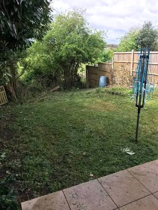 Professional Garden Maintenance