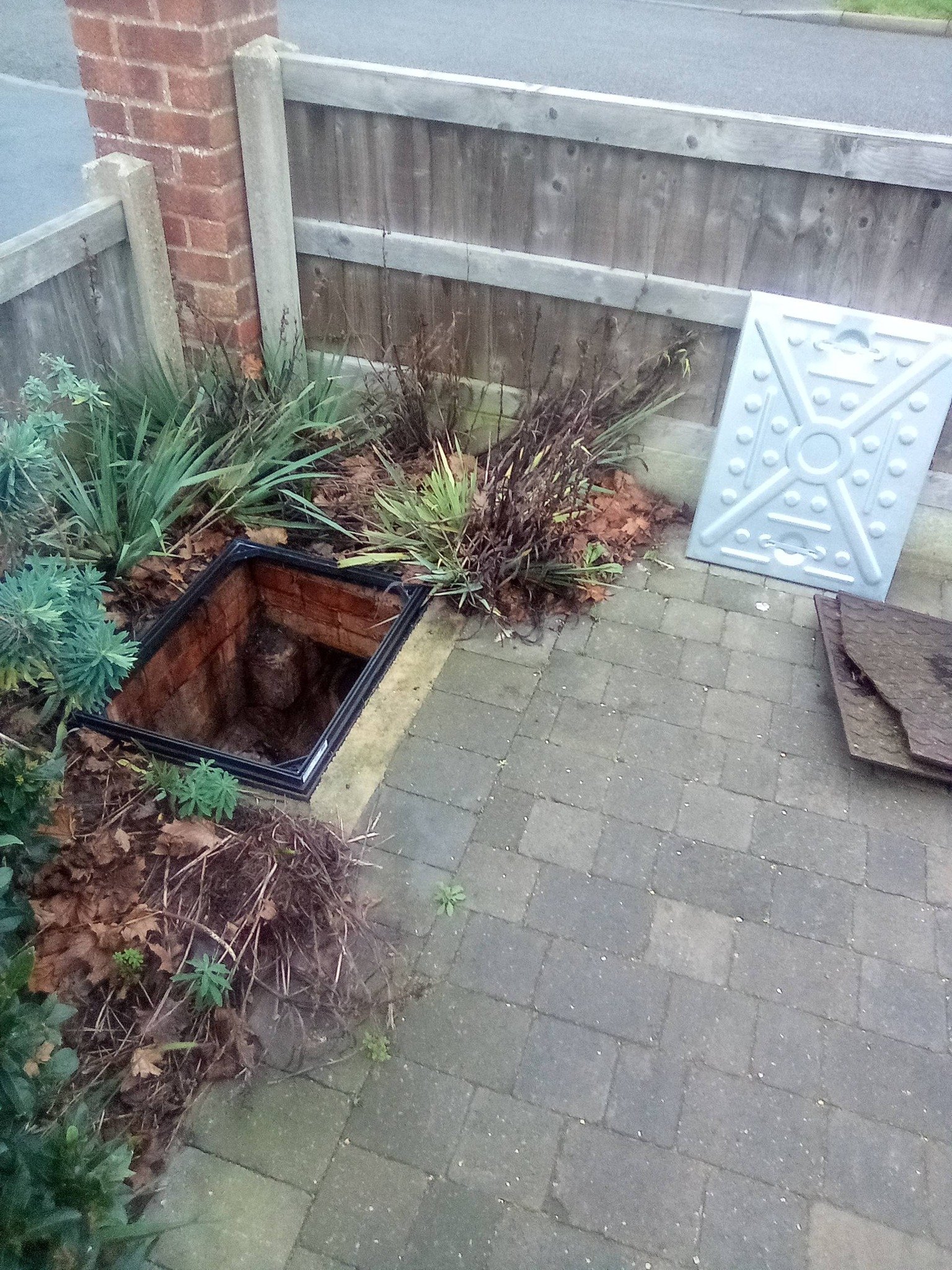 Fence Repairs & Painting