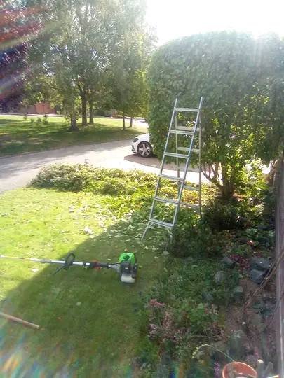 Weed Control & De-Weeding