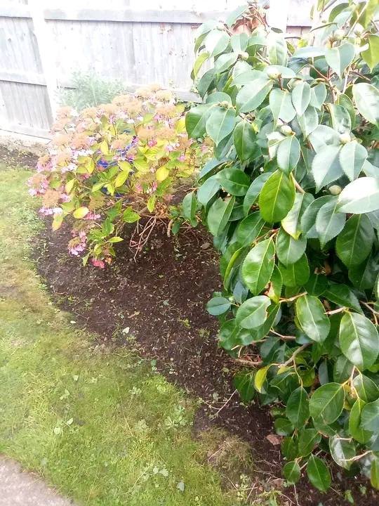 Garden Work Coverage